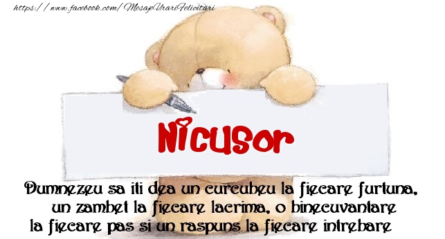 Felicitari de prietenie - Ursuleti | Mesaj pentru prieteni! Nicusor