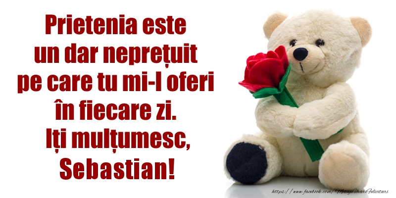 Felicitari de prietenie - Prietenia este un dar neprețuit pe care tu mi-l oferi în fiecare zi. Iți mulțumesc, Sebastian!