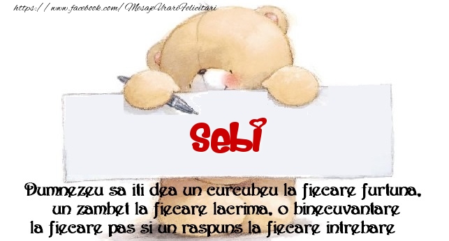 Felicitari de prietenie - Mesaj pentru prieteni! Sebi