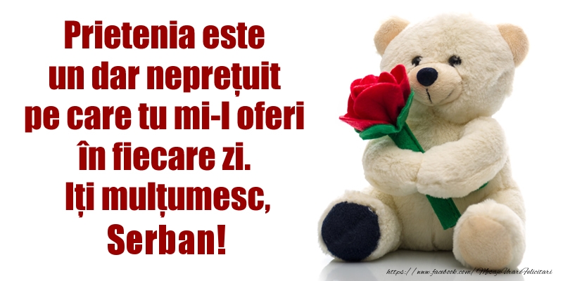 Felicitari de prietenie - Flori & Ursuleti | Prietenia este un dar neprețuit pe care tu mi-l oferi în fiecare zi. Iți mulțumesc, Serban!