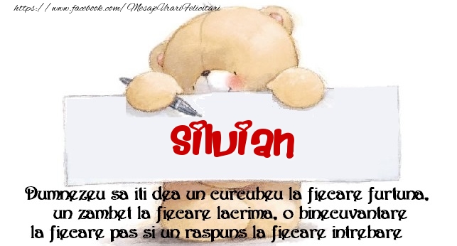 Felicitari de prietenie - Mesaj pentru prieteni! Silvian