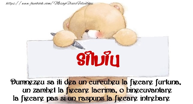 Felicitari de prietenie - Ursuleti | Mesaj pentru prieteni! Silviu