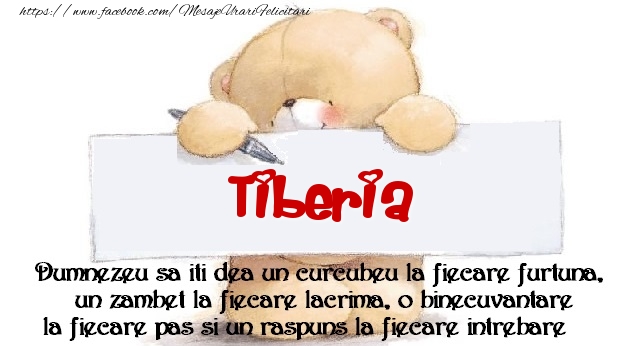 Felicitari de prietenie - Ursuleti | Mesaj pentru prieteni! Tiberia
