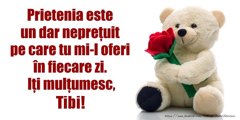 Felicitari de prietenie - Prietenia este un dar neprețuit pe care tu mi-l oferi în fiecare zi. Iți mulțumesc, Tibi!