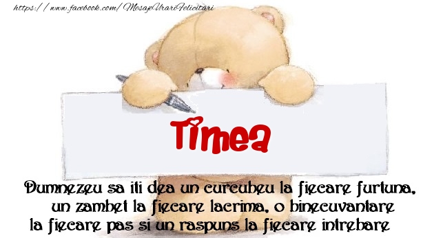 Felicitari de prietenie - Ursuleti | Mesaj pentru prieteni! Timea