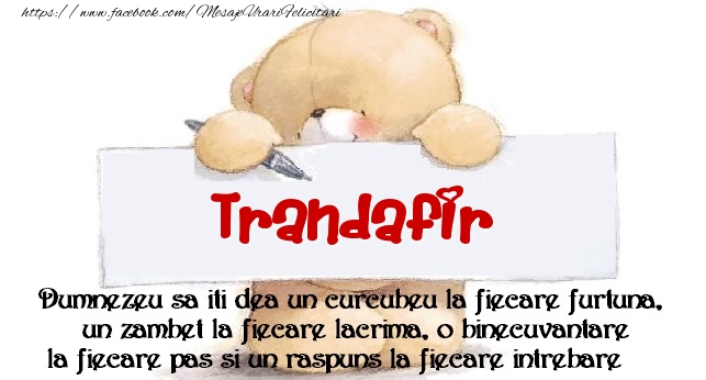 Felicitari de prietenie - Mesaj pentru prieteni! Trandafir