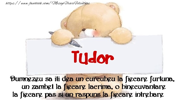 Felicitari de prietenie - Mesaj pentru prieteni! Tudor