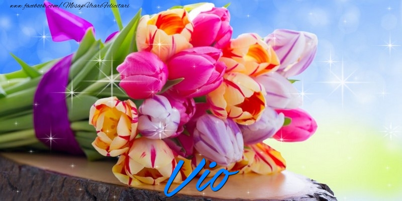Felicitari de prietenie - Vio
