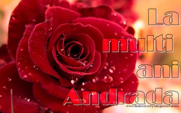 Felicitari de Sfantul Andrei - La multi ani Andrada