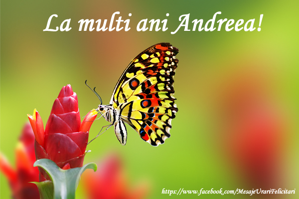 Felicitari de Sfantul Andrei - La multi ani Andreea!