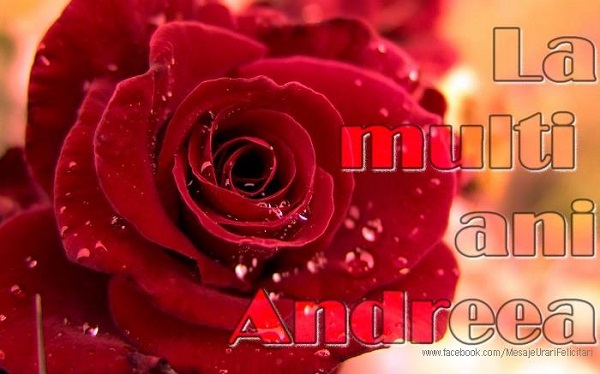 Felicitari de Sfantul Andrei - La multi ani Andreea