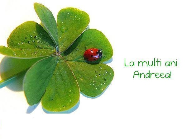 Felicitari de Sfantul Andrei - La multi ani Andreea!
