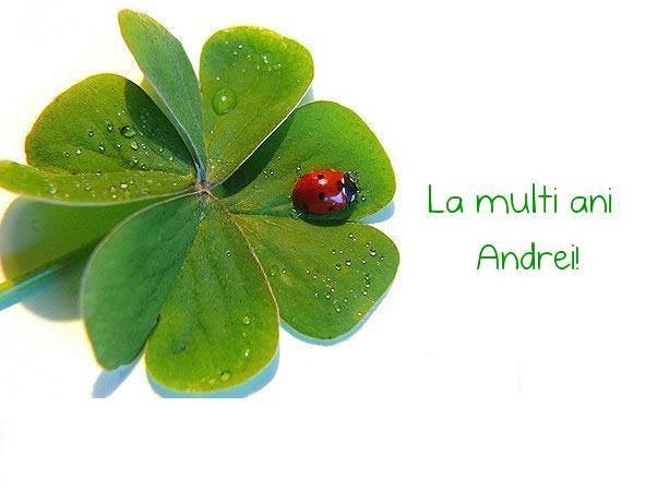 Felicitari de Sfantul Andrei - La multi ani Andrei!