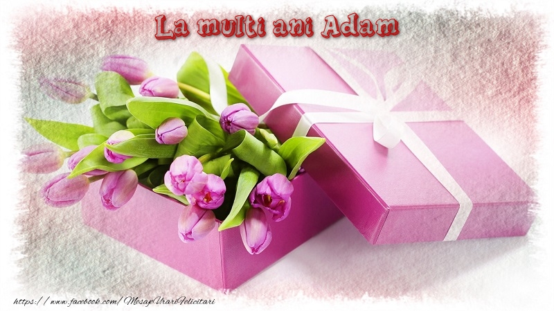 Felicitari de zi de nastere - Cadou & Lalele | La multi ani Adam