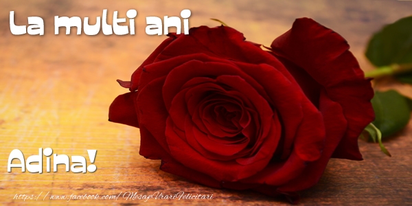 Felicitari de zi de nastere - Flori & Trandafiri | La multi ani Adina!