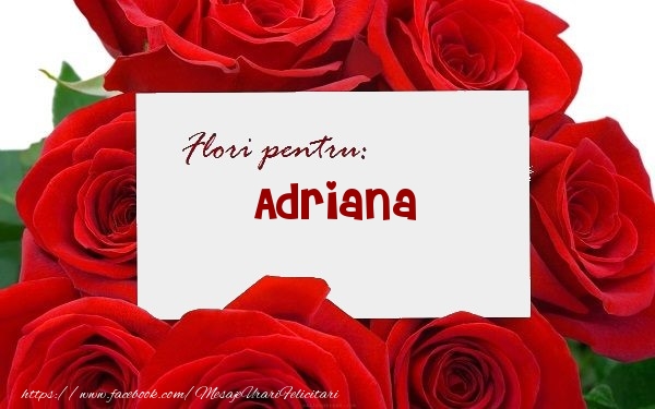 Felicitari de zi de nastere -  Flori pentru: Adriana