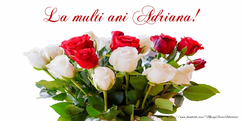 Felicitari de zi de nastere - Buchete De Flori & Flori & Trandafiri | La multi ani Adriana!