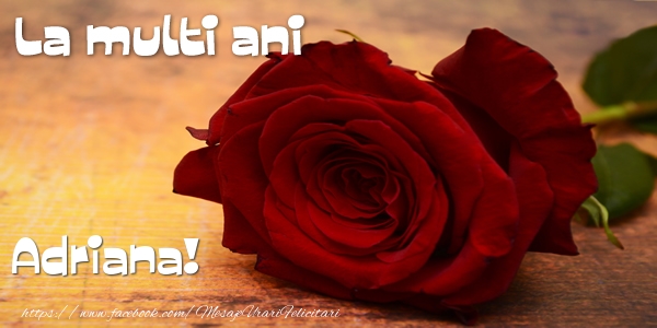 Felicitari de zi de nastere - Flori & Trandafiri | La multi ani Adriana!