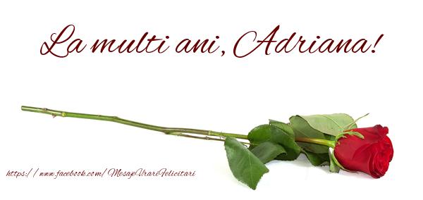 Felicitari de zi de nastere - Flori & Trandafiri | La multi ani, Adriana!