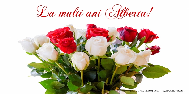 Felicitari de zi de nastere - Buchete De Flori & Flori & Trandafiri | La multi ani Alberta!