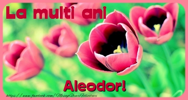 Felicitari de zi de nastere - Flori & Lalele | La multi ani Aleodor