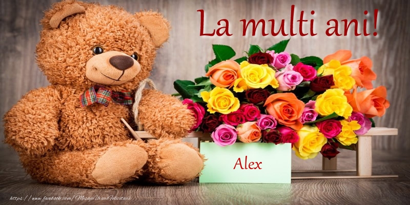 Felicitari de zi de nastere - Flori & Ursuleti | La multi ani! Alex
