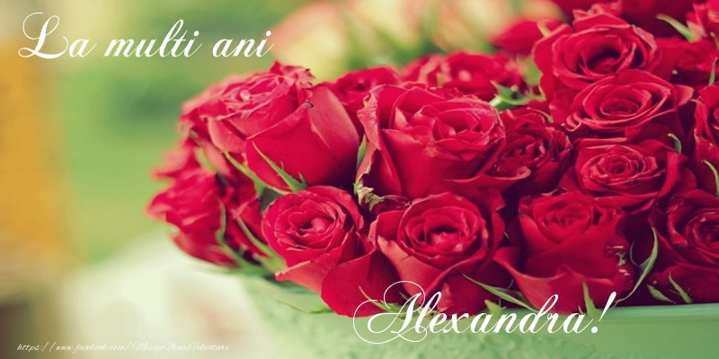 Felicitari de zi de nastere - Flori & Trandafiri | La multi ani Alexandra!