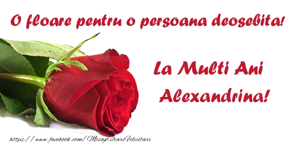 Felicitari de zi de nastere - Flori & Trandafiri | O floare pentru o persoana deosebita! La multi ani Alexandrina!