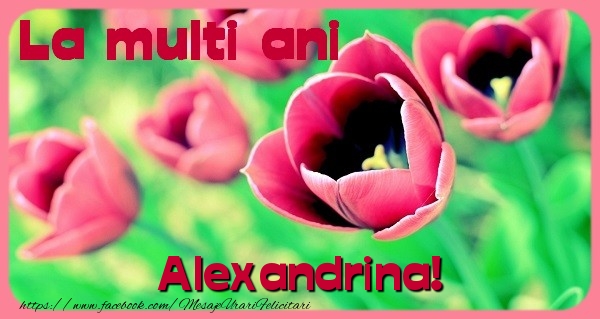 Felicitari de zi de nastere - Flori & Lalele | La multi ani Alexandrina
