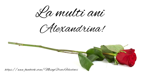 Felicitari de zi de nastere - Flori & Trandafiri | La multi ani Alexandrina!