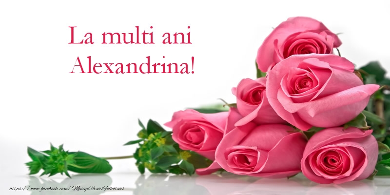 Felicitari de zi de nastere - Flori & Trandafiri | La multi ani Alexandrina!