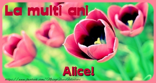 Felicitari de zi de nastere - Flori & Lalele | La multi ani Alice