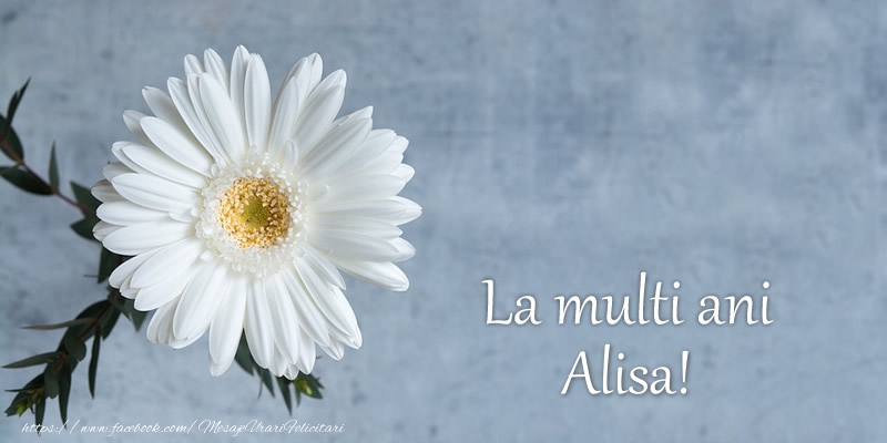 Felicitari de zi de nastere - Flori | La multi ani Alisa!