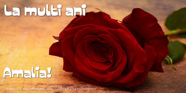 Felicitari de zi de nastere - Flori & Trandafiri | La multi ani Amalia!