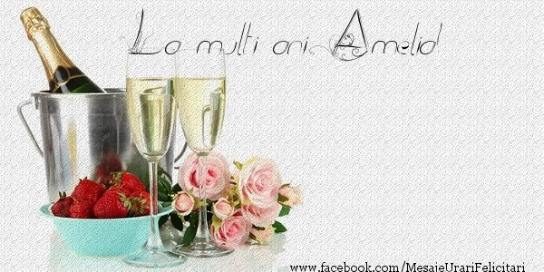 Felicitari de zi de nastere - Flori & Sampanie | La multi ani Amelia!