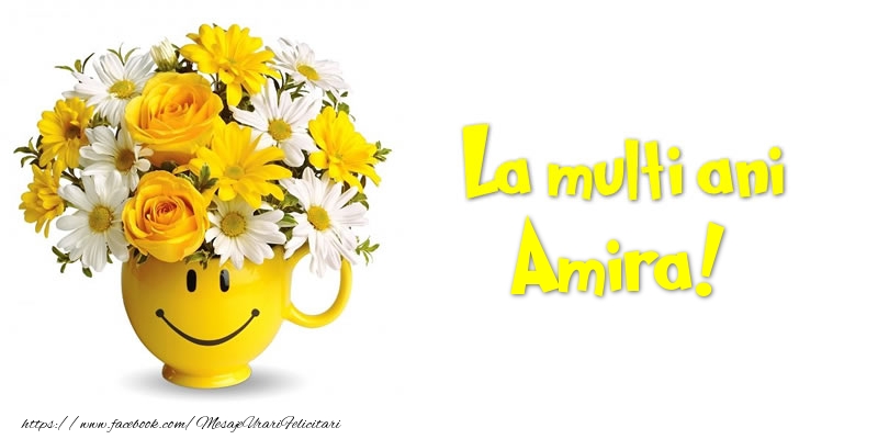 Felicitari de zi de nastere - Buchete De Flori & Flori | La multi ani Amira!