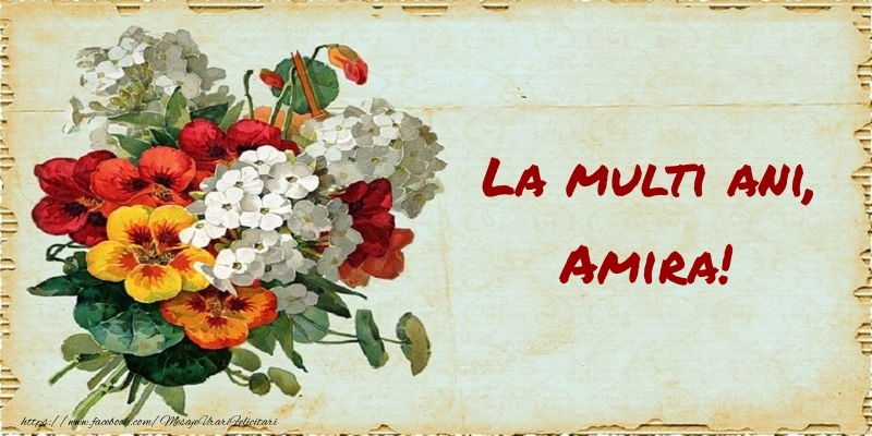 Felicitari de zi de nastere - Buchete De Flori & Flori | La multi ani, Amira!