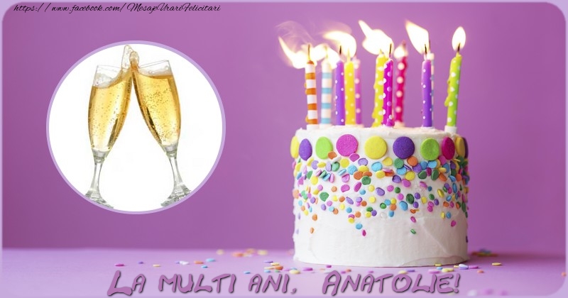 Felicitari de zi de nastere - Tort & 1 Poza & Ramă Foto | La multi ani Anatolie