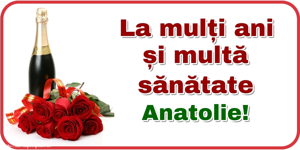 Felicitari de zi de nastere - Flori & Sampanie | La mulți ani și multă sănătate Anatolie!