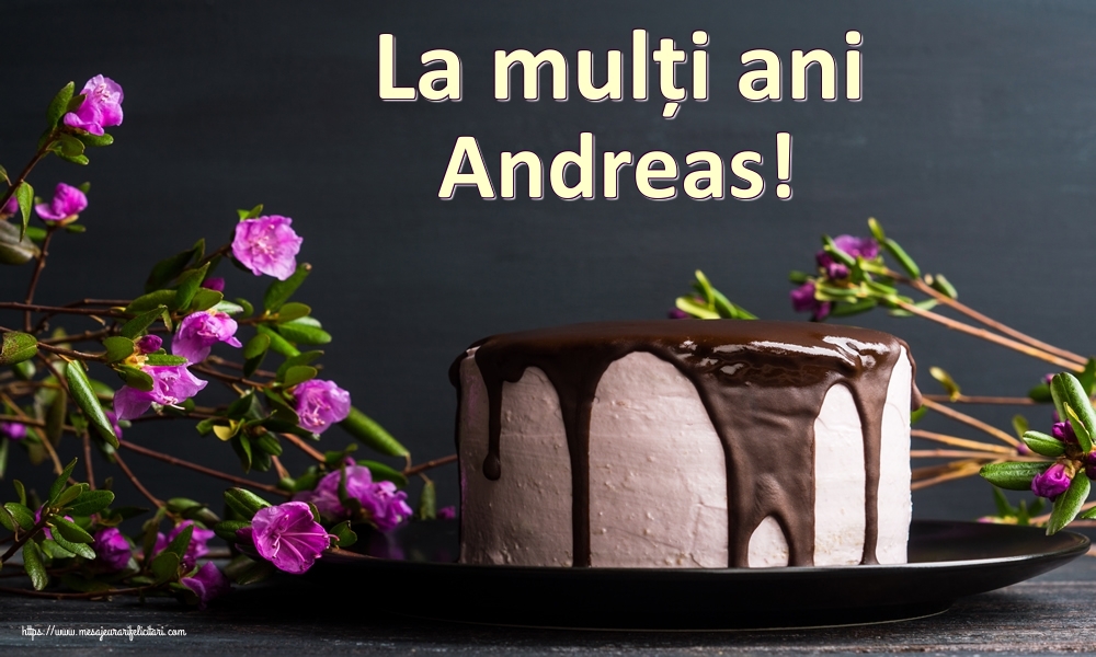 Felicitari de zi de nastere - Tort | La mulți ani Andreas!