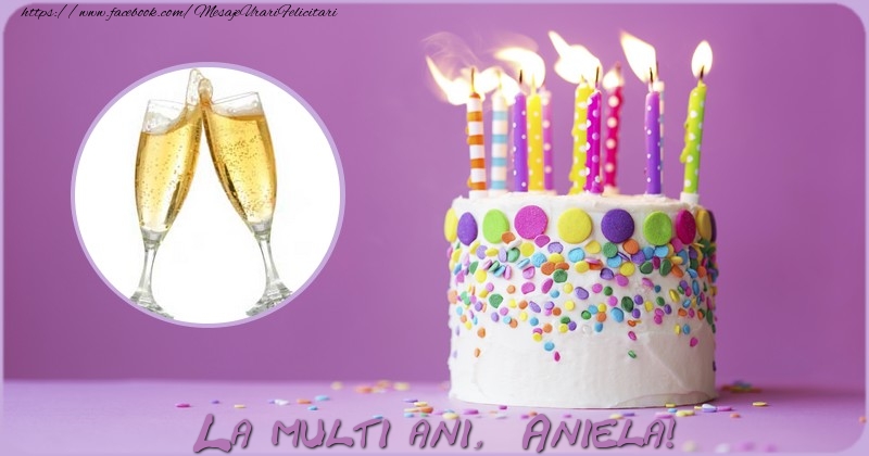 Felicitari de zi de nastere - Tort & 1 Poza & Ramă Foto | La multi ani Aniela