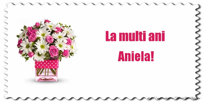 Felicitari de zi de nastere - Buchete De Flori & Flori | La multi ani Aniela!