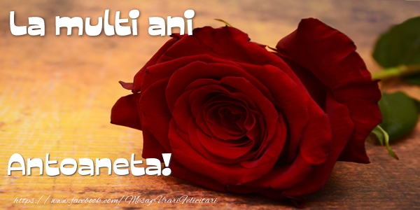 Felicitari de zi de nastere - Flori & Trandafiri | La multi ani Antoaneta!