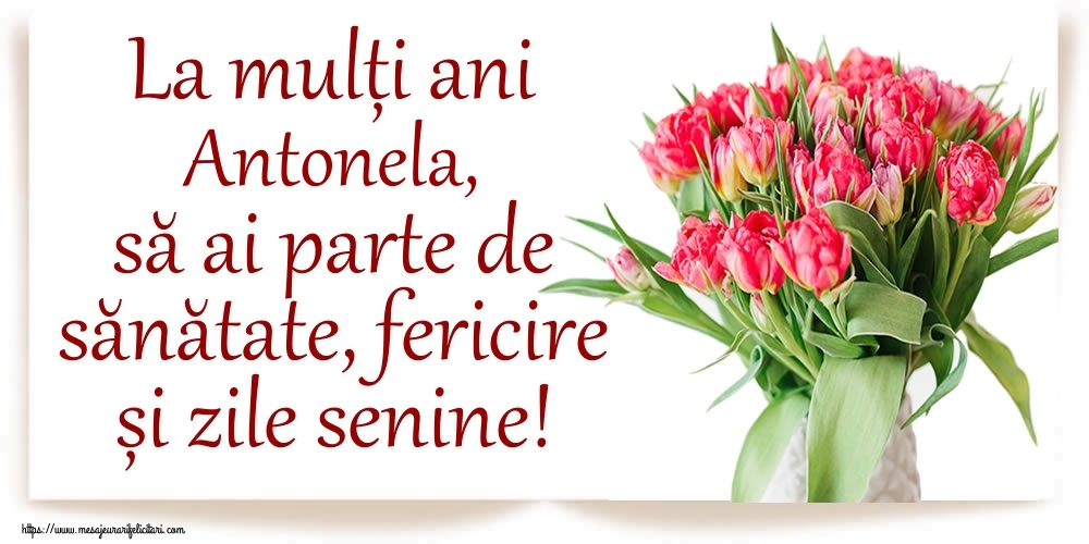 Felicitari de zi de nastere - Flori | La mulți ani Antonela, să ai parte de sănătate, fericire și zile senine!