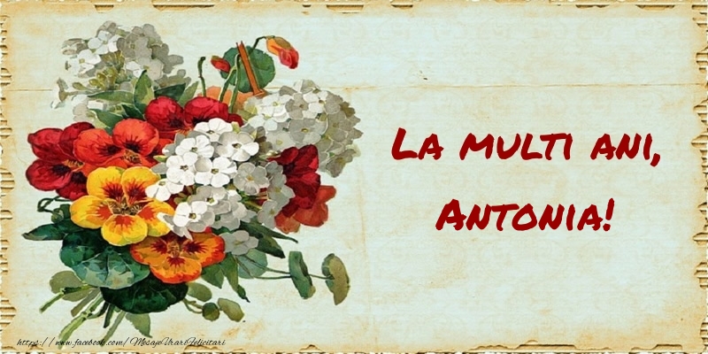 Felicitari de zi de nastere - Buchete De Flori & Flori | La multi ani, Antonia!
