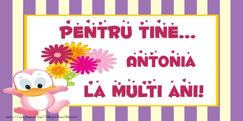 Felicitari de zi de nastere - Animație & Flori | Pentru tine... Antonia La multi ani!