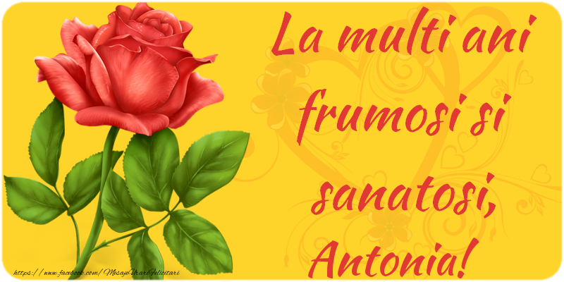 Felicitari de zi de nastere - Flori | La multi ani fericiti si sanatosi, Antonia