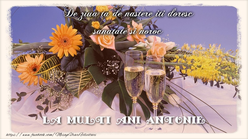 Felicitari de zi de nastere - Flori & Sampanie | La multi ani Antonie.De ziua ta de nastere iti doresc sanatate si noroc