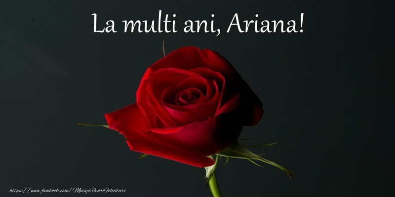 Felicitari de zi de nastere - Flori & Trandafiri | La multi ani Ariana!