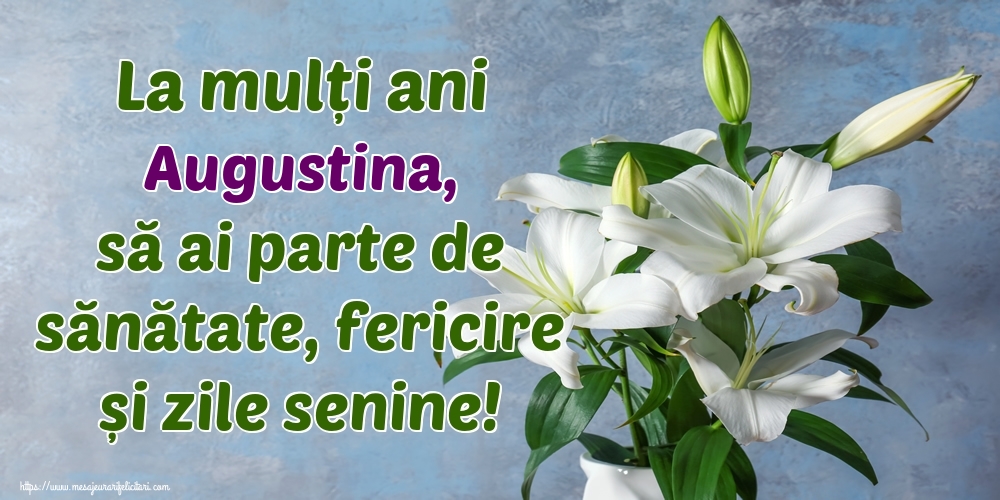 Felicitari de zi de nastere - La mulți ani Augustina, să ai parte de sănătate, fericire și zile senine!